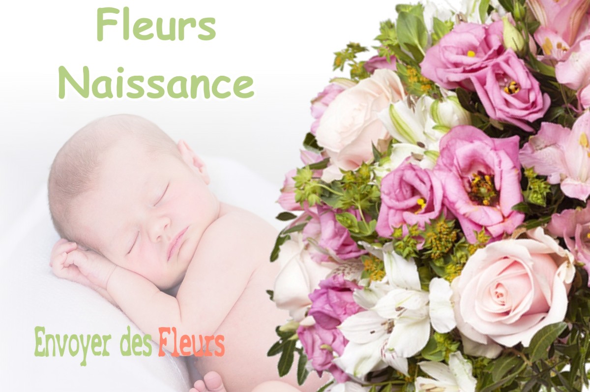 lIVRAISON FLEURS NAISSANCE à CHAUMONT-DEVANT-DAMVILLERS